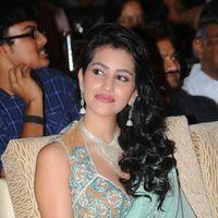 Anjali Lavania - Panja Audio Release - Pictures | Picture 128302